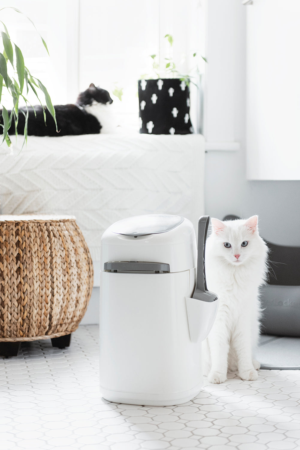 LitterLocker® Design Pail – litterlocker site - Main Image